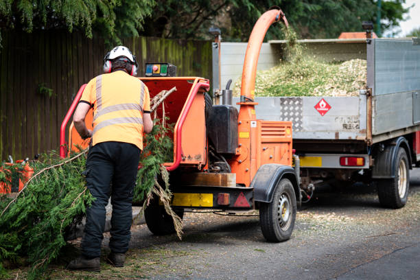 Lawn Watering Services in Healdsburg, CA